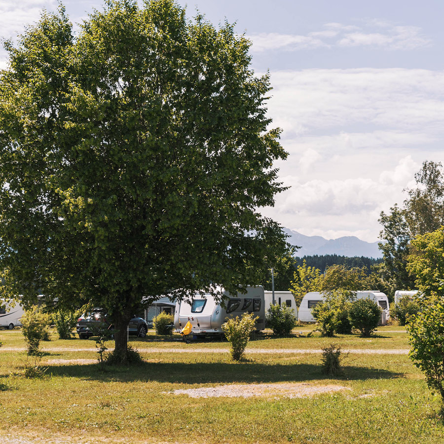 Dekoratives Bild Dekoratives Bild