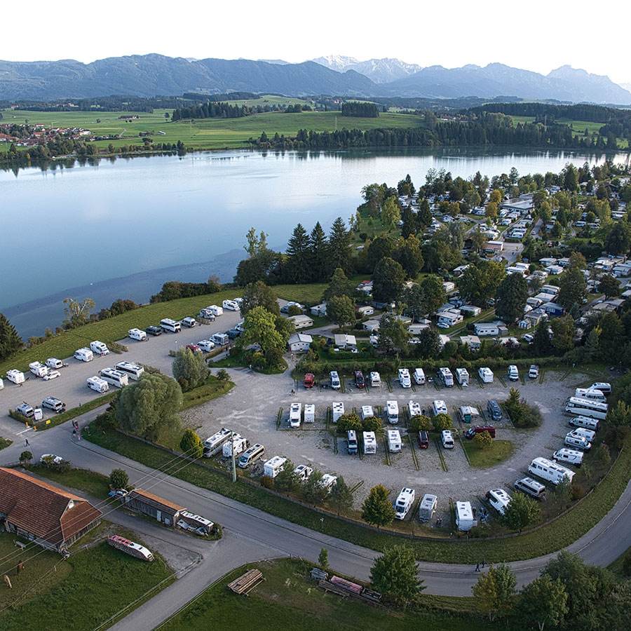 Dekoratives Bild Dekoratives Bild